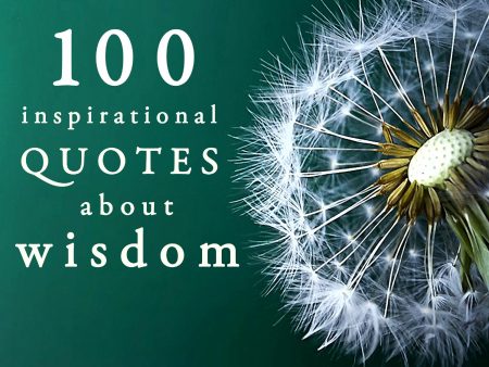 100 Quotes About Wisdom For Cheap