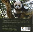 Panda: Back From The Brink For Discount