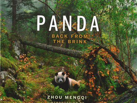 Panda: Back From The Brink For Discount